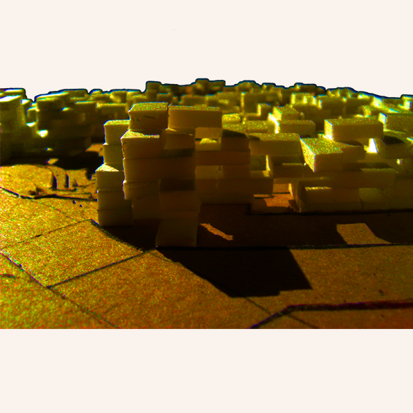 housing project model