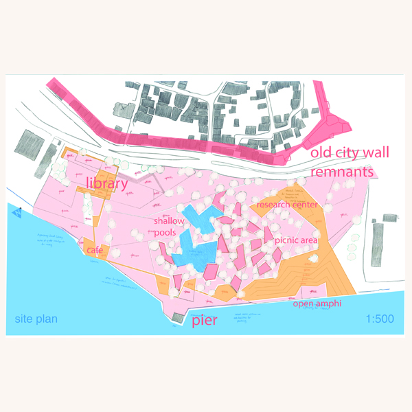 site plan color coded to show how the wall wanders and defines the spaces